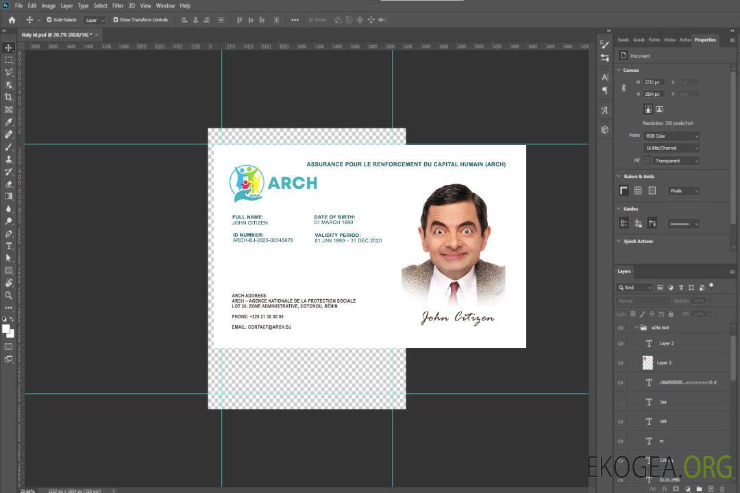 Carte d'assurance maladie du Bénin template